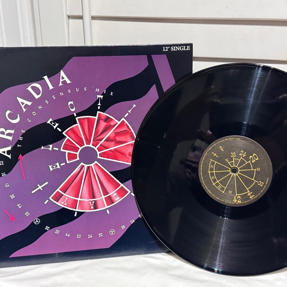 🎶✨ Arcadia – “Election Day” (The Consensus Mix) 12” Vinyl Single – 80s Gold ✨🎶